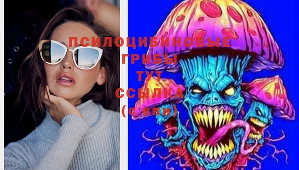 mdma Зерноград