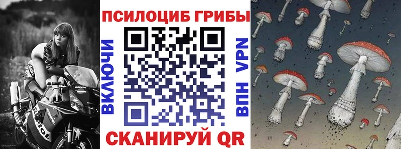 купить  цена  Калининск  Псилоцибиновые грибы Magic Shrooms 